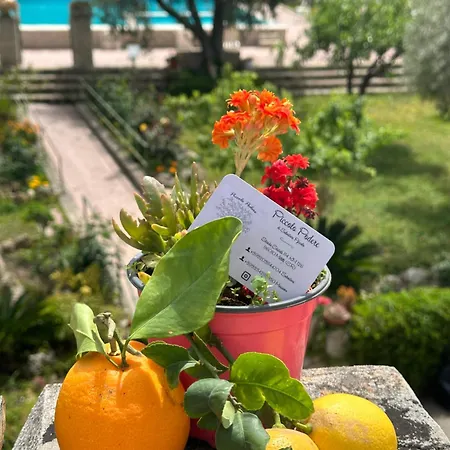 Piccolo Podere * Melilli