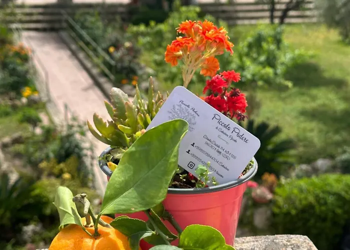 Piccolo Podere * Melilli