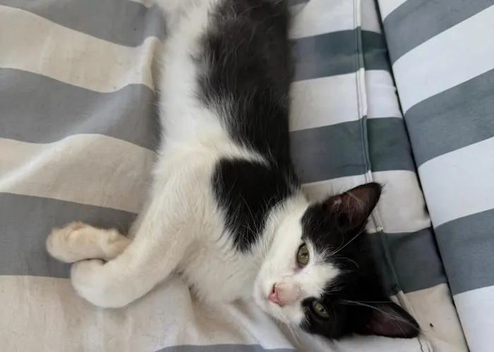 Piccolo Podere Apartment Melilli