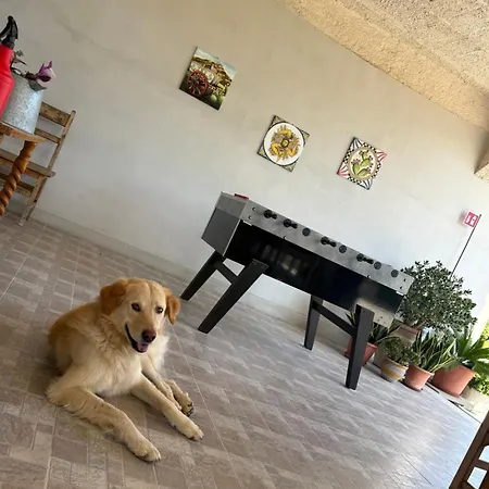 شقة Piccolo Podere Melilli